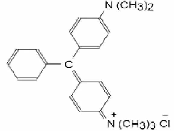 Figure II-6: Structure moléculaire d’un colorant nitré et nitrosé. 