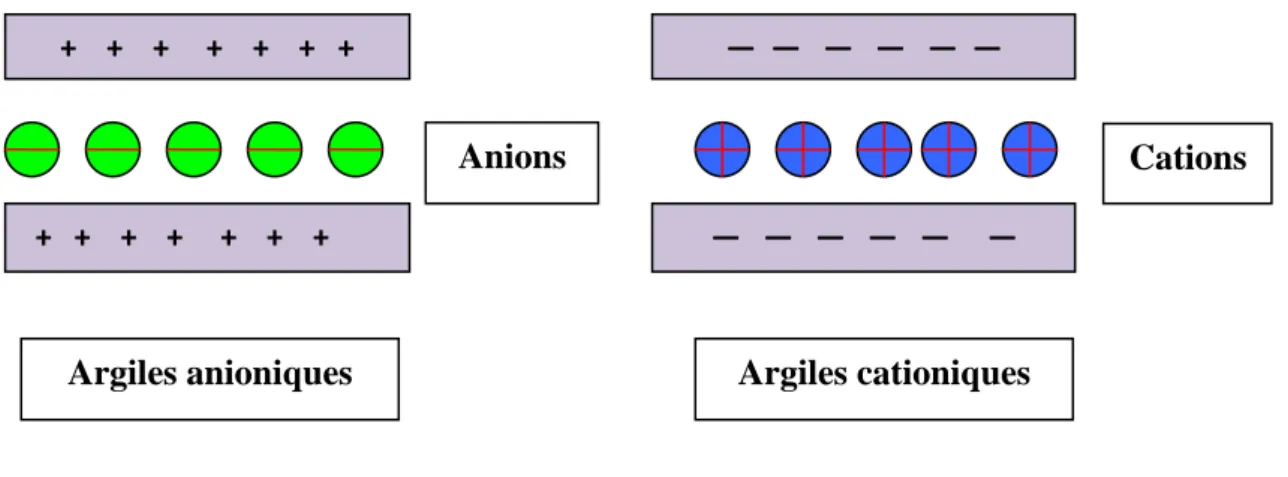 Figure I- 1 : Différence schématique entre les argiles cationiques et anioniques. 