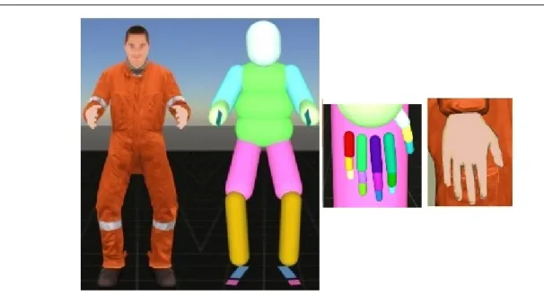 Fig. 2: DHM with skinning and collision geometry (left). Right hand model with skinning and collision geometry (right)