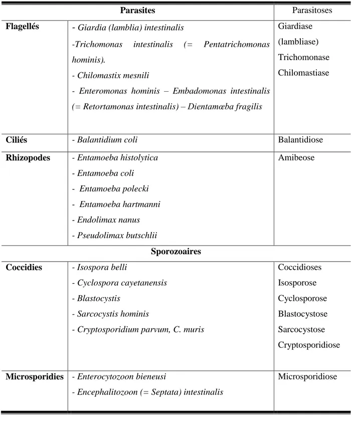 Tableau 1 : Classification zoologique des parasites et parasitoses intestinales : sous-règne des  protozoaires et protozooses (Nicolas et al., 2002)