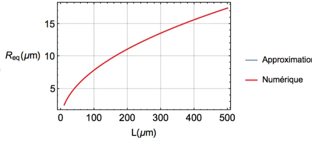 Fig. 2.3 – Courbe représentative du rayon d’équilibre R eq en fonction de la taille de la cavité avec les paramètres suivants : ρ ? L = 1000 kg.m −3 , ρ GP = 0.59 kg.m −3 , ψ 1 = 10 −7 m −2 s 2 
