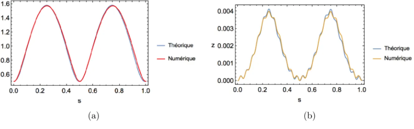 Fig. 3.3 – Comparaison de la simulation numérique et du résultat théorique. (a) le rayon est représenté : la courbe rouge est le résultat de la simulation numérique et la bleue le résultat théorique