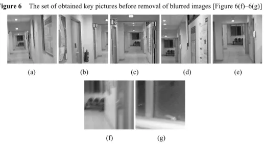 Figure 6  The set of obtained key pictures before removal of blurred images [Figure 6(f)–6(g)] 