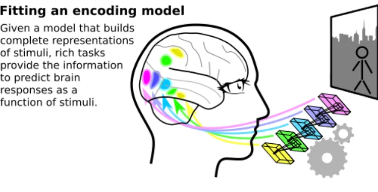 Figure 2: Encoding methodology and generalization: Encoding models capture the full details of brain responses given a rich description of the stimuli or tasks