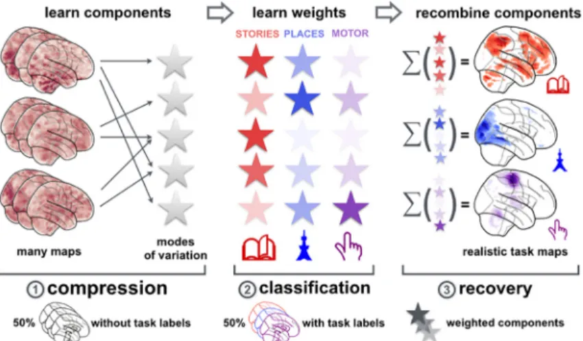 Fig 2. Network co-occurrence modeling: Workflow. The three steps of the proposed analysis approach are outlined