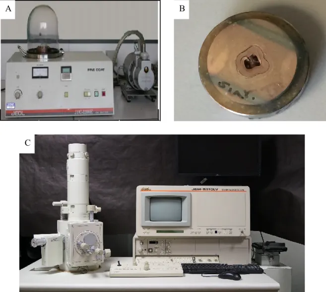 Figure 16. A: Ion sputter® coating machine, B: a gold coated dentinal disk,  C: Joel scanning microscope