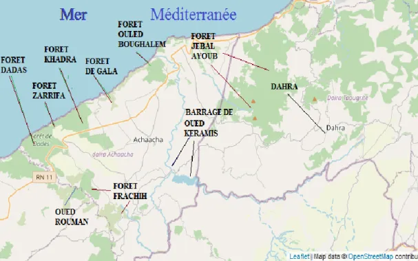 Figure 07. Carte des forêts région d’Achaacha 