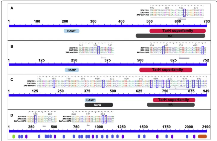 Figure 4 Schematic representations of examples of sites under selection and conserved domains in MCPs (A, B, and C) and adhesins (D)