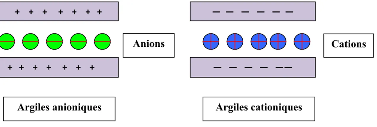 Figure I- 1 : Différence schématique entre les argiles cationiques et anioniques 