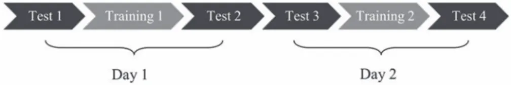 Figure 3. Experimental groups. The four conditions  represent the type of training provided to participants in  each one of the groups (12 participants in each group).