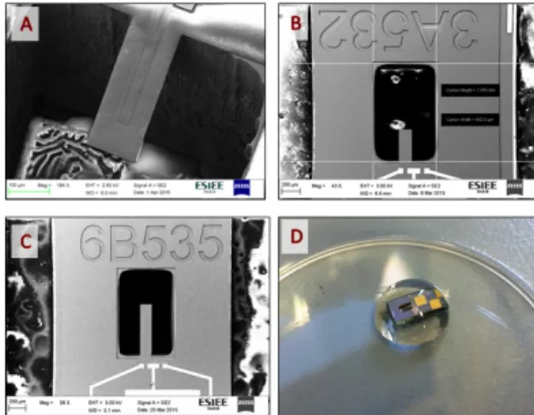Figure 3. Pictures of some of manufactured devices: (a) SEM image of a beam Diamond L = 360 µm, (b) Same beam (a) with lower magnification (c) SEM image of a diamond beam L = 660 µm (d) Photography of a diamond cantilever during one of the rinsing steps.
