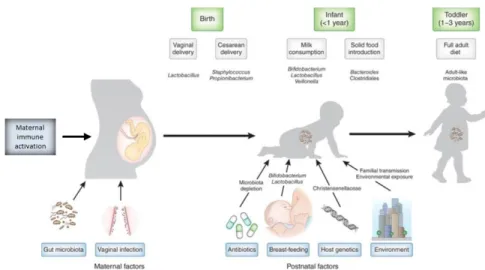 Figure 7: Factors shaping the neonatal microbiome (Tamburini et al., 2016) 
