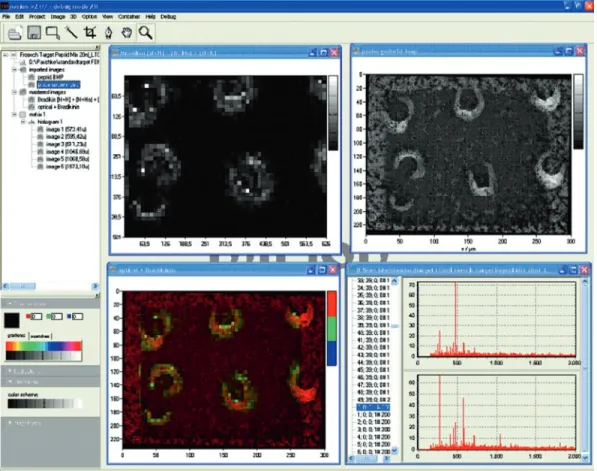 Fig. 12. Mirion (Justus Liebig University).