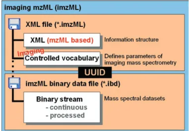 Fig. 2. Data structure of imzML.