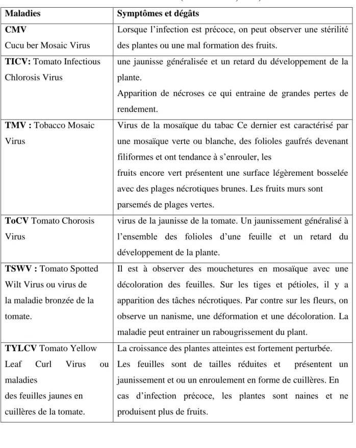 Tableau 05 : Les maladies virales de la tomate (Idrenmouche, 2011). 