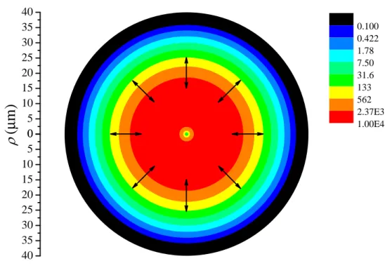 FIG. 3: Radial distribution of I ρ for Ne atomic vapour at z = 0.02 m. Black arrows show schemat- schemat-ically the radially polarized SHG field.