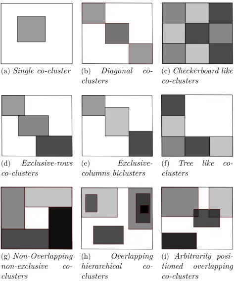 Figure 2.1 – Examples of co-clustering structures.