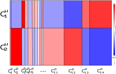 Figure 3.6 – A simplified co-clustering of the Adult data set, with 2 × 14 co-clusters.
