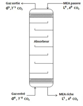 Figure 9 :  Colonne d’absorption