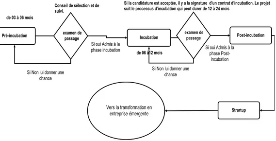 Figure 3 : les étapes chronologiques d’incubation 