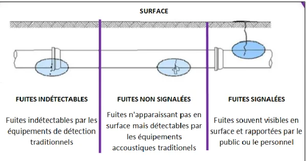 Figure 5 –Programme de gestion des fuites d’eau 