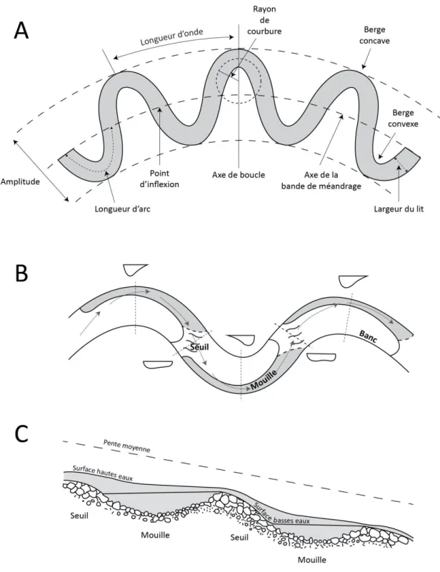 Figure 1.1 Paramètres  morphométriques  des  méandres  et  localisation  des  seuils  et  mouilles  sur  les  méandres