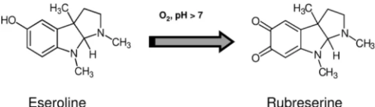 FIGURE 2. Chemical structures of eseroline and rubreserine. Oxidation of eseroline into rubreserine is spontaneous and strongly increased at pH ⬎ 7.