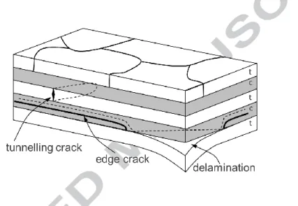 Figure 1. Schematic of surface cracks in ceramic laminates designed with tensile (t) and  compressive (c) residual stresses [32]