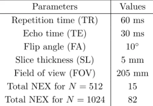 Table 3: Parameters of T 2 ∗ -weighted GRE sequence used for experiments.