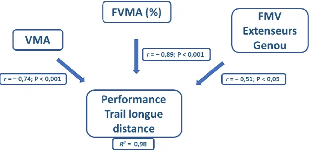 Figure 10 : Facteurs physiologiques de la performance en trail longue distance. VMA : Vitesse  Maximale Aérobie ; FVMA : Fraction d’utilisation de VMA moyenne maintenue pendant l’épreuve ;  FMV : Force Maximale volontaire 