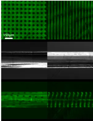 Figure 5. Topographical patterned. Top 2.1 µm deep, 10 µm and 40 µm wide pillars on a 11.5 µm rolled film.Bottom 11.5µm deep, 50 µm wide grooves on a 48 µm rolled film.