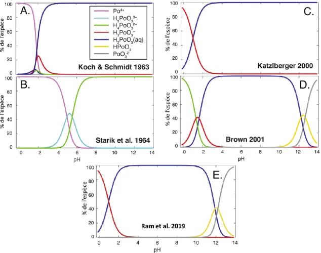 Figure 1-2: Distribution calculée des espèces du Po hydrolysé selon A. Koch &amp; Schmidt  1963, B