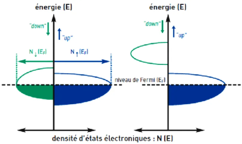 Figure I.4 : densité d’états : fonction de l’énergie  I.1.5 Classification des demi-métaux selon Coey (2002) 