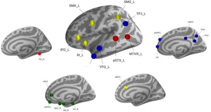 Figure 1. Social brain atlas. Thirty-six brain regions were previously automatically separated into  i) visual-sensory network (red), ii) limbic network (green), iii) intermediate-level network (yellow), 