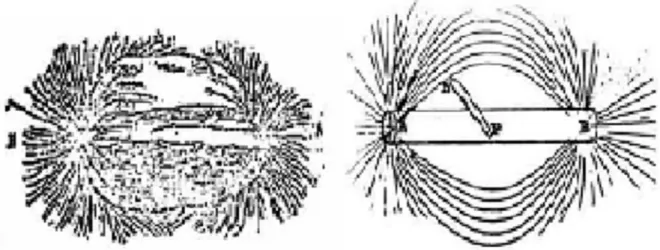 Figure I.1 : Lignes de champ magnétique autour d’un aimant permanent, matérialisées par de  la limaille de fer 