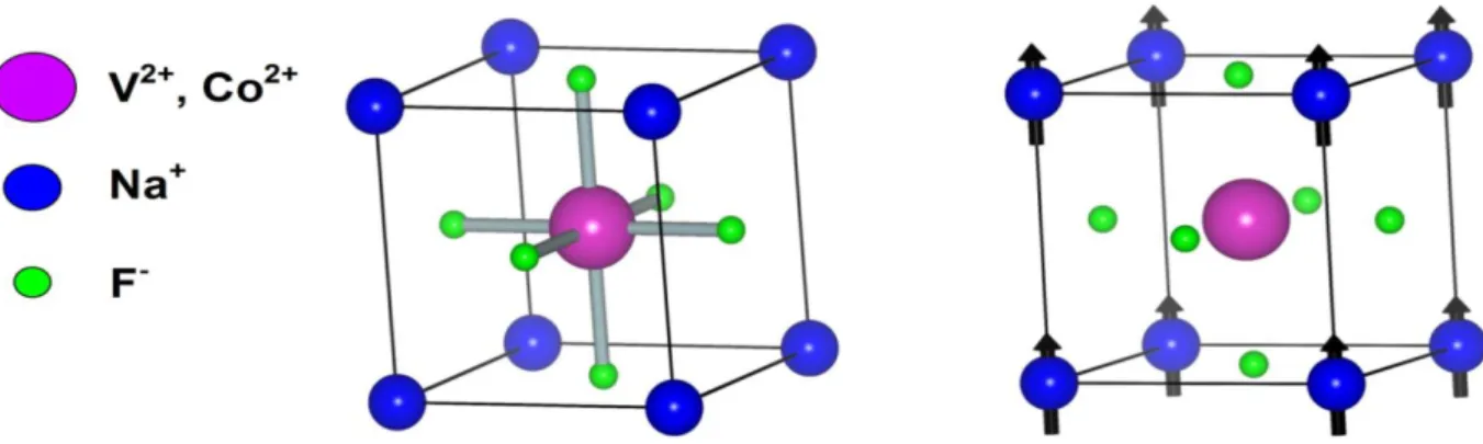 Figure III.1 : Représentation de la  structure cristalline du NaXF 3  (X = V, Co) et  leur configuration  ferromagnétique.