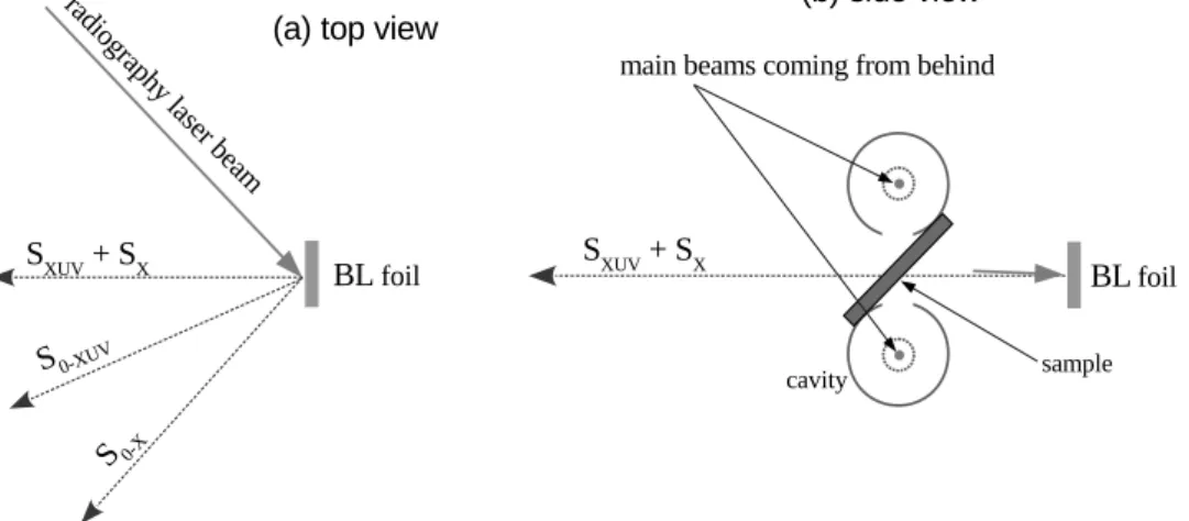 Fig. 1. (a) Top view of the layout of the four spectrometers. The gold cavities, if present, are located above and below the drawing plane