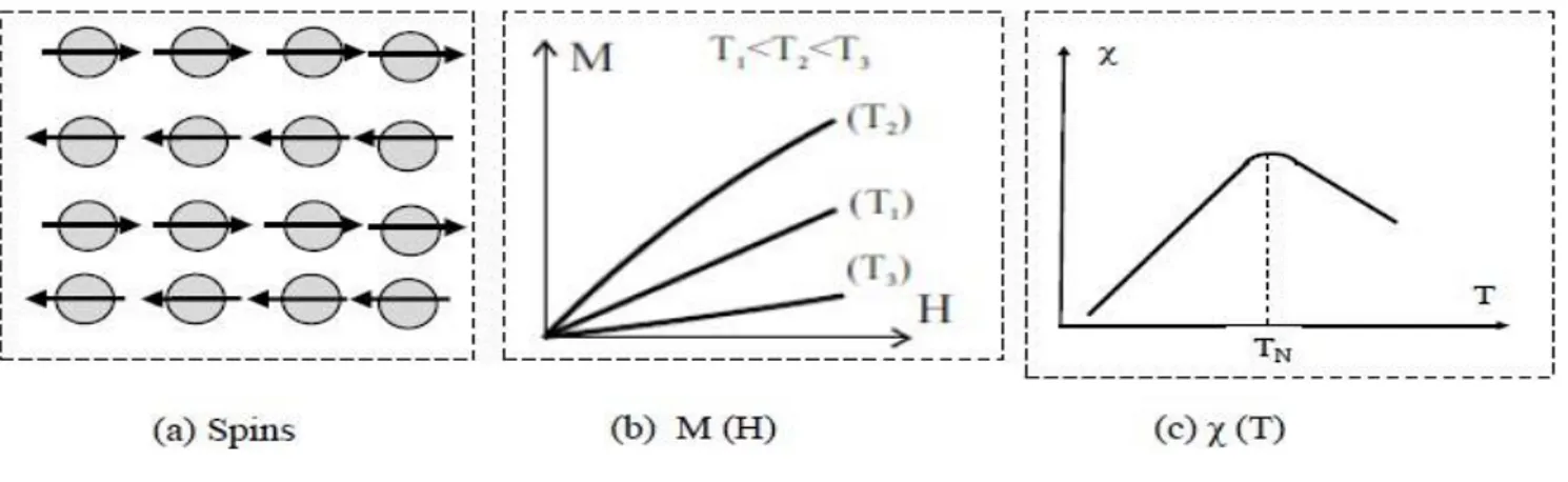 Figure I.1: Antiferromagnétisme : (a) réseau de spins ; (b) l’aimantation en fonction du champ  magnétique d’excitation M(H) ;(c) la susceptibilité en fonction de la température χ (T) 