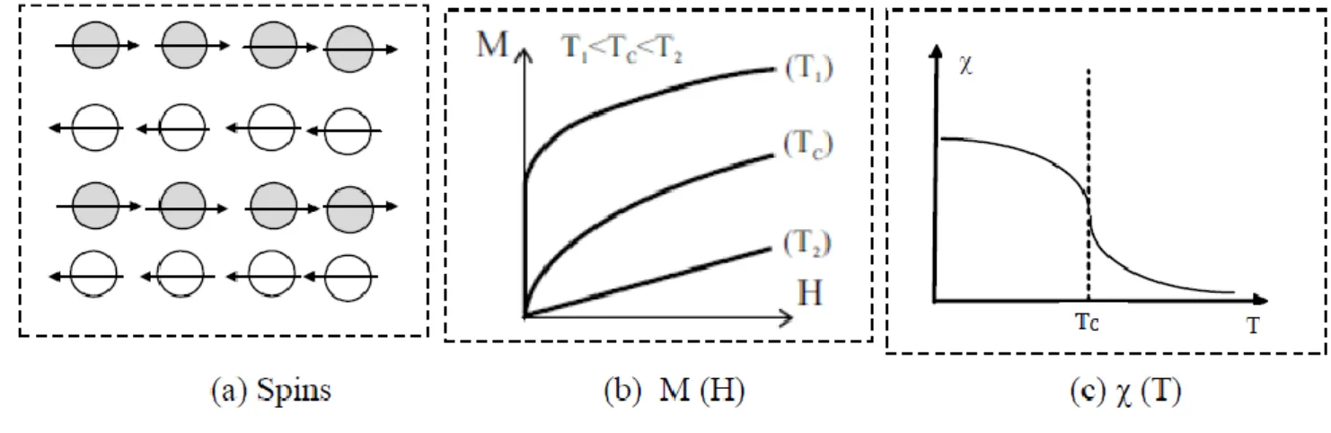 Figure I.2: Ferrimagnétisme : (a) réseau de spins ; (b) l’aimantation en fonction du champ  magnétique d’excitation M(H) ;(c) la susceptibilité en fonction de la température χ (T) 