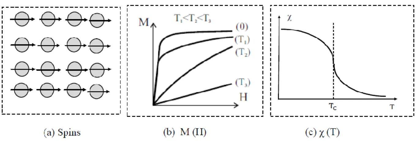 Figure I.4: Ferromagnétisme : (a) réseau de spins ; (b) l’aimantation en fonction du champ  magnétique d’excitation M(H) ;(c) la susceptibilité en fonction de la température χ (T)