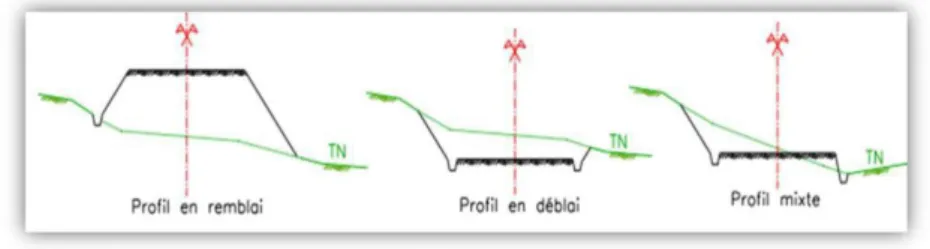 Figure 6 :  Différents types de profil en travers 