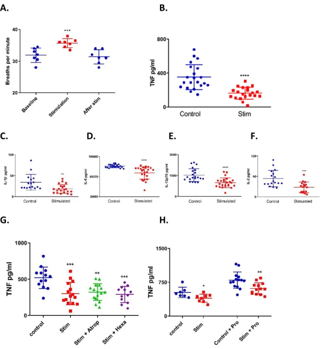 Figure  1:  CSN  electrostimulation  attenuates  production  of  pro-inflammatory  cytokines.