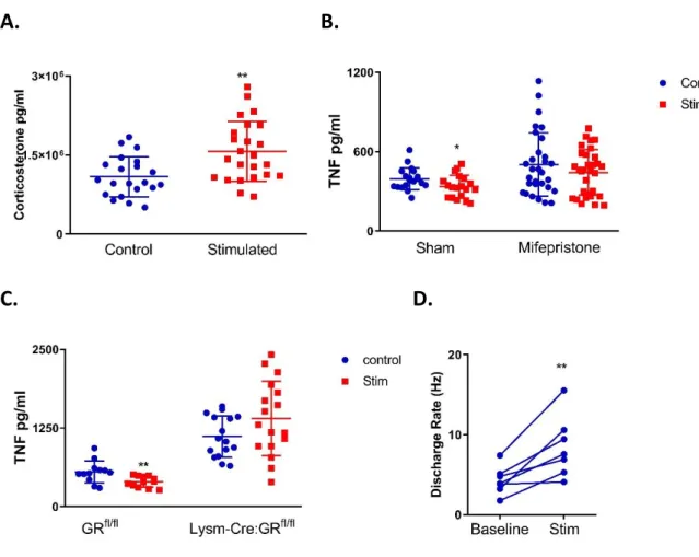 Figure 2: CSN electrostimulation increases corticosterone, which attenuates inflammation  via the glucocorticoid receptor of myeloid cells.