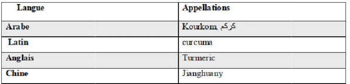Tableau 1 : Différentes appellations de curcuma 