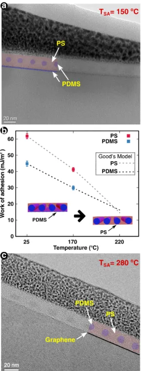 Figure 3: Self-assembly of PS- b -PDMS on graphene following a thermal annealing treatment at T PA =170 ℃
