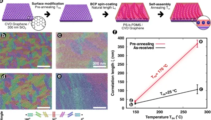 Figure 1: (a) Graphic representation of the CVD-grown graphene patterning on large sur- sur-faces through thermal modification of the surface energy, direct spin-coating of the high- χ BCP PS- b -PDMS and its cylindrical self-assembly by thermal means