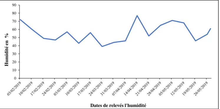 Figure 24 : Humidité relevée dans la serre pendant la période d’échantillonnage. 