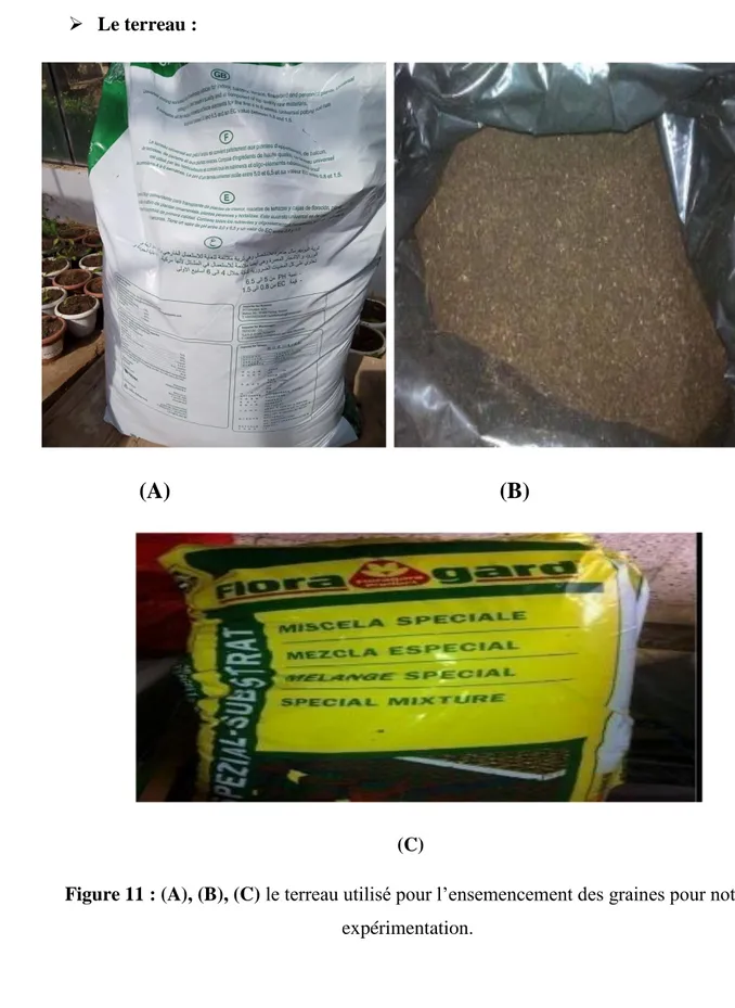 Figure 11 : (A), (B), (C) le terreau utilisé pour l’ensemencement des graines pour notre  expérimentation