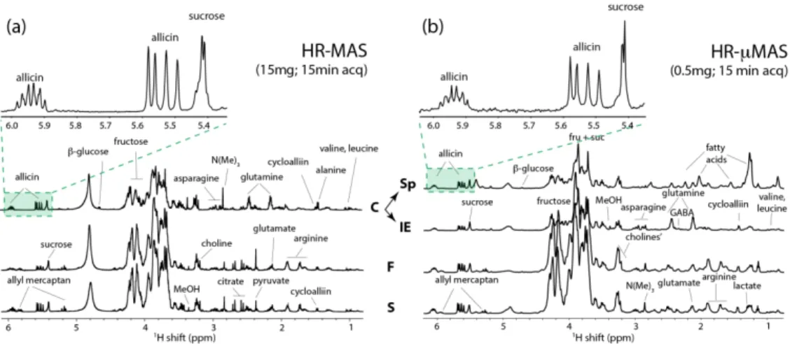 Figure 2 Spectral comparison of the garlic regions between (a) HR-MAS and (b) HR-μMAS