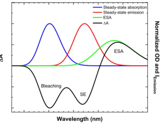 Figure 3. Illustration of three different contributions to the differential absorbance (DA) after the sample excitation: ESA, 185 